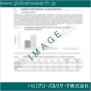 グローバルリサーチ調査資料のイメージ